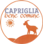 LISTA CIVICA - CAPRIGLIA BENE COMUNE