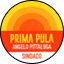 LISTA CIVICA - PRIMA PULA