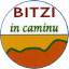 LISTA CIVICA - BITZI IN CAMINU