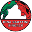 LISTA CIVICA - DINA SAOTTINI SINDACO