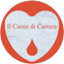 LISTA CIVICA - IL CUORE DI CARRARA