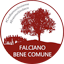 LISTA CIVICA - FALCIANO BENE COMUNE