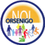 LISTA CIVICA - NOI ORSENIGO