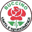 LISTA CIVICA - BUCCINO UNITA E DEMOCRATICA