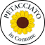 LISTA CIVICA - PETACCIATO IN COMUNE