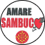 LISTA CIVICA - AMARE SAMBUCO