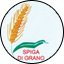 LISTA CIVICA - SPIGA DI GRANO