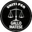 LISTA CIVICA - UNITI PER GALLO MATESE