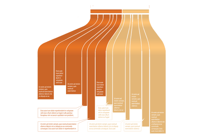 Infografiche personalizzate